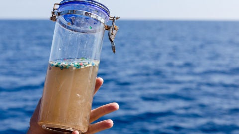 Micropl&aacute;sticos recogidos en el mar.