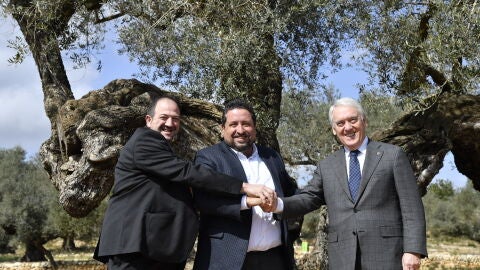Colaboraci&oacute;n de la Diputaci&oacute;n de Castell&oacute;n con Tarragona y Teruel.