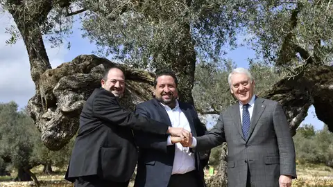 Colaboración de la Diputación de Castellón con Tarragona y Teruel. Colaboración de la Diputación de Castellón con Tarragona y Teruel.