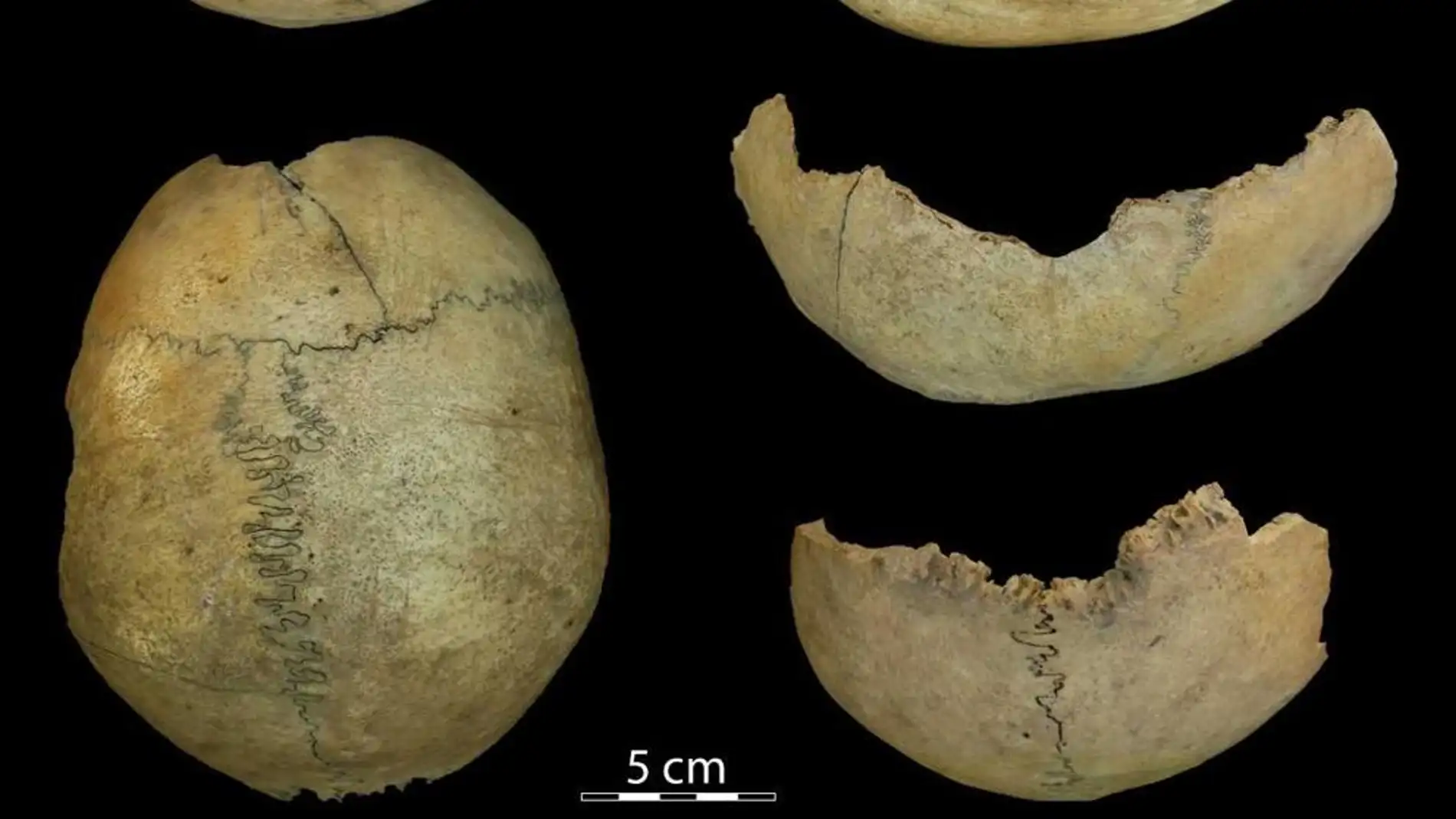 Hallan restos arqueológicos que revelan prácticas de canibalismo en el Neolítico Antiguo