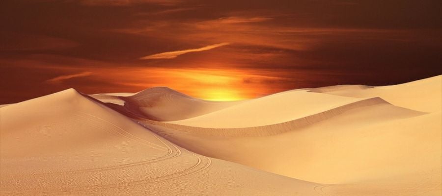 Desierto Desierto