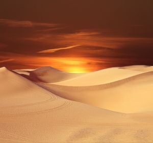 Desierto Desierto
