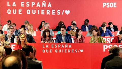 Comit&eacute; Federal del PSOE