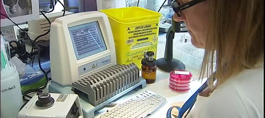 células de cáncer de próstata y nivel de testosterona
