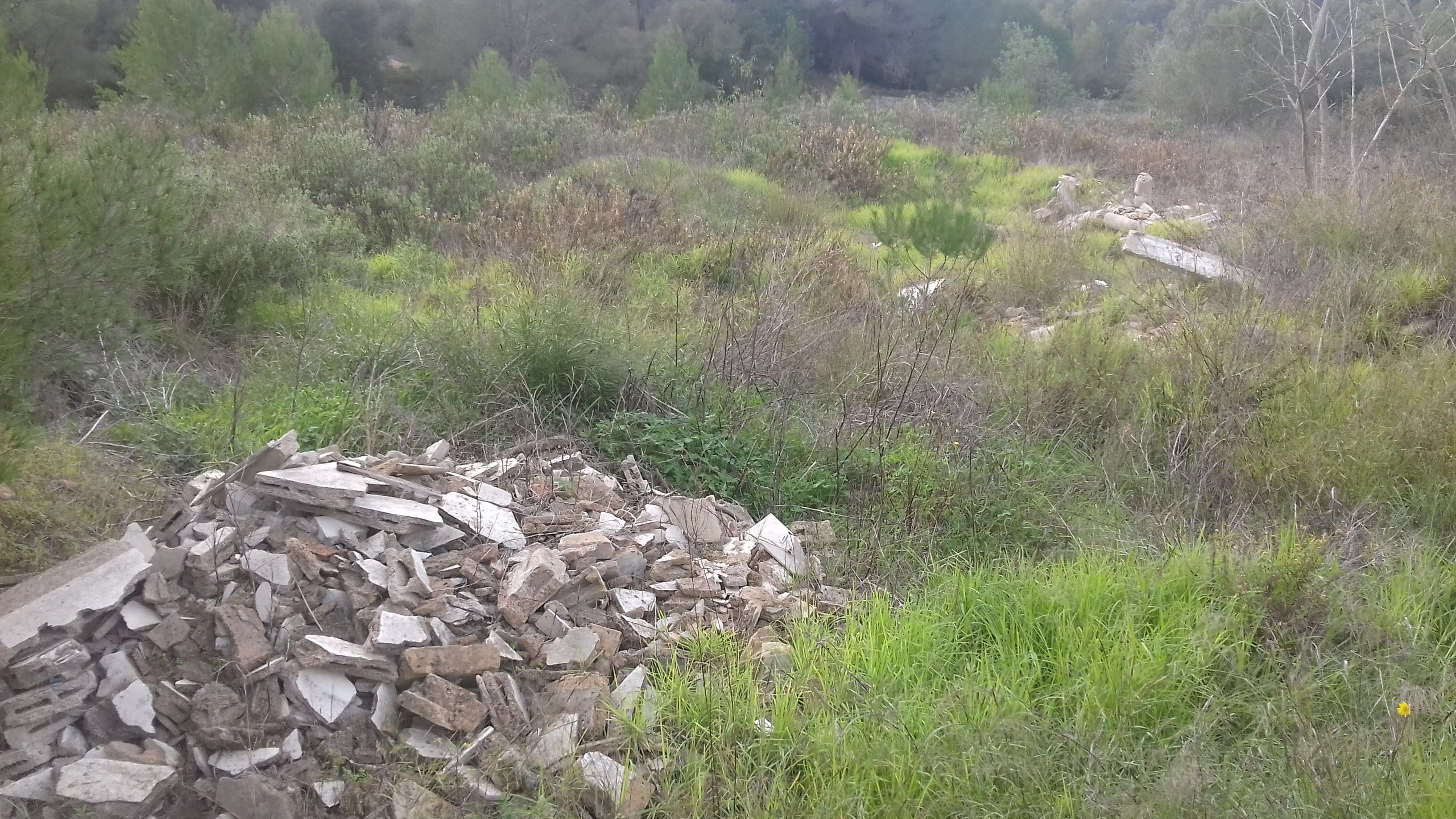 Emaya retira cerca de 1.500 toneladas de residuos de obra en doce solares y vías públicas de Palma Emaya retira cerca de 1.500 toneladas de residuos de obra en doce solares y vías públicas de Palma