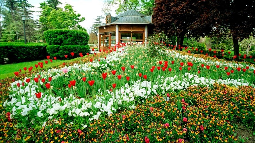 Pamplona en la Onda 19/03/2019 Pamplona en la Onda 19/03/2019