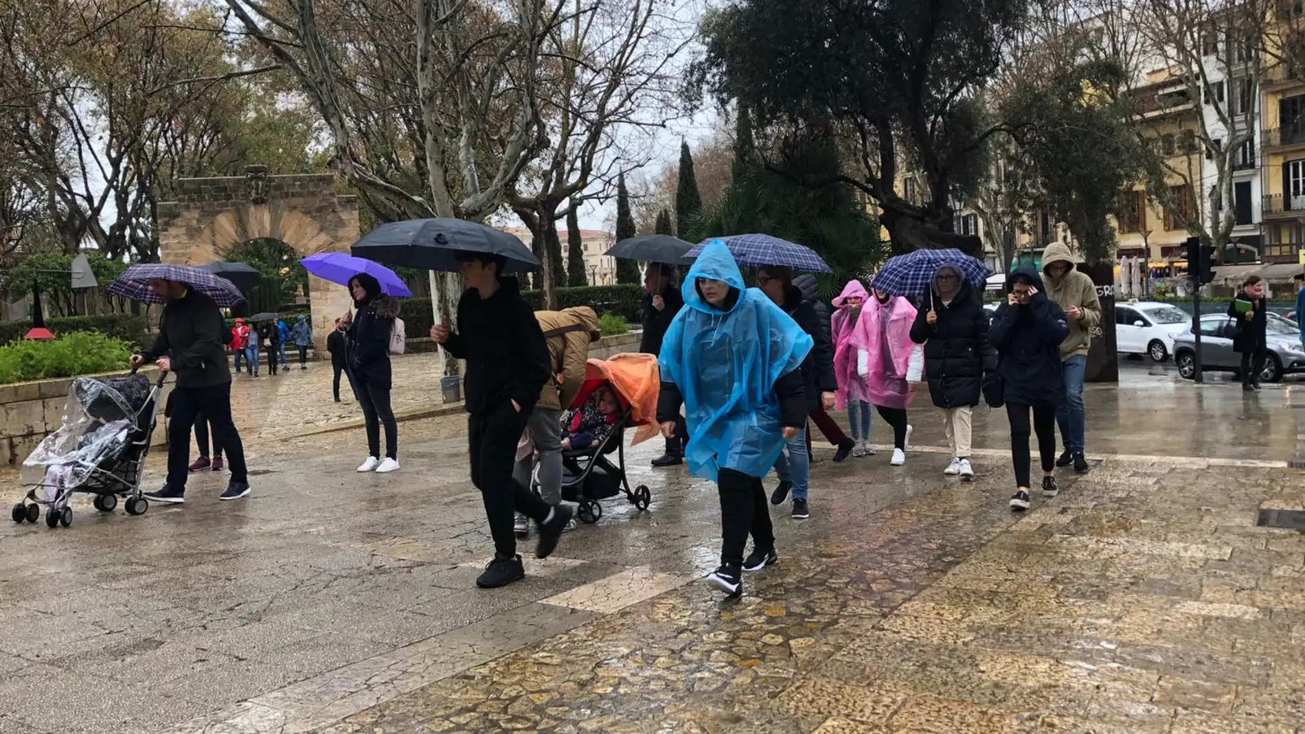 Ciudadanos bajo la lluvia en el centro de Palma. 