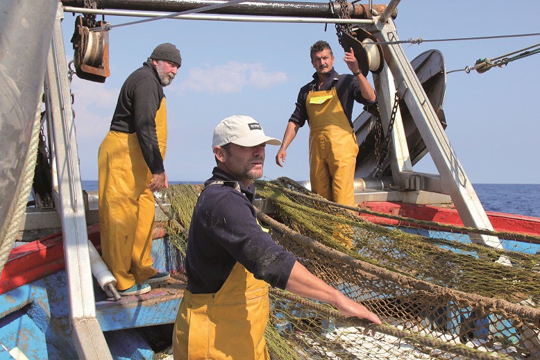 Castelló instará a la Generalitat a pagar al sector de la pesca Castelló instará a la Generalitat a pagar al sector de la pesca