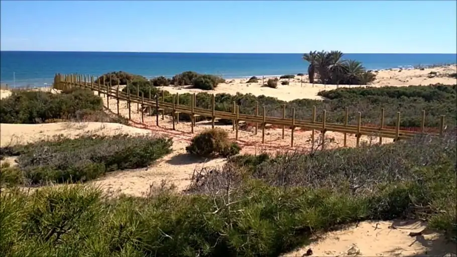 dunas dunas