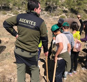 reforestacion cuenca reforestacion cuenca