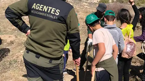 reforestacion cuenca cuenca