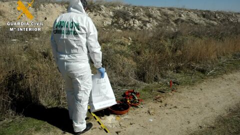 Investigan a una mujer por maltrato animal