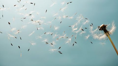 La primavera se prev&eacute; moderada en Cuenca
