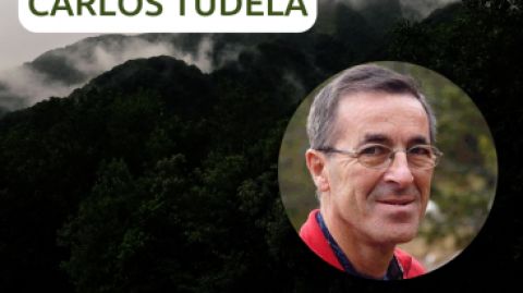 Imagen del alpinista Carlos Tudela