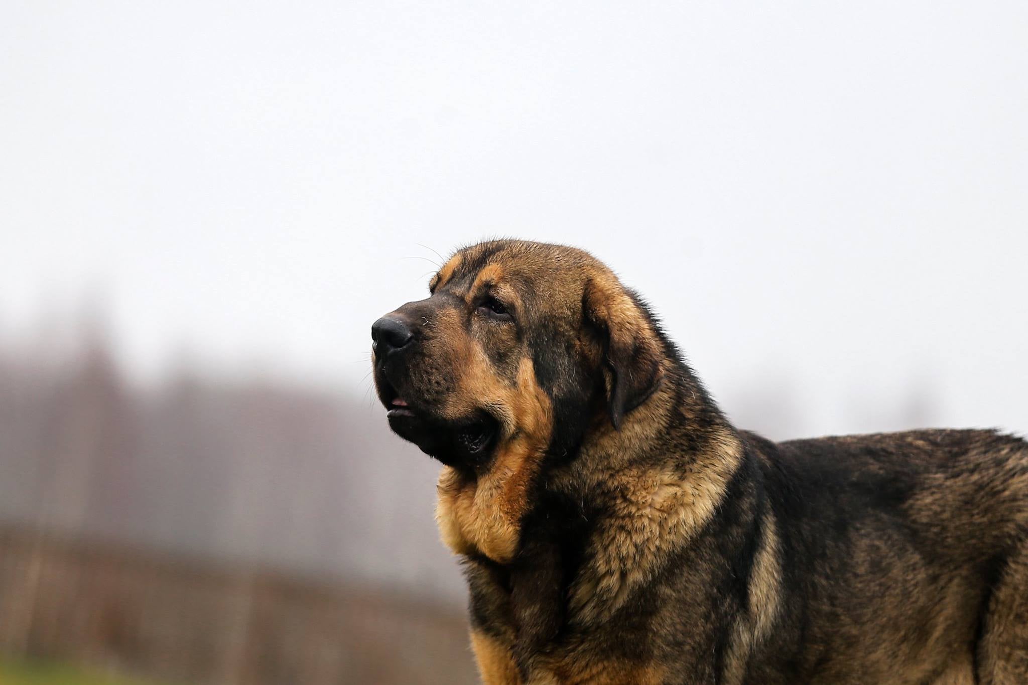 Cuenca en la Onda 09/04/19 Cuenca en la Onda 09/04/19