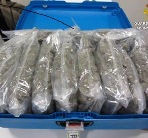 Maleta con marihuana que llevaba la mujer detenida. Maleta con marihuana que llevaba la mujer detenida.