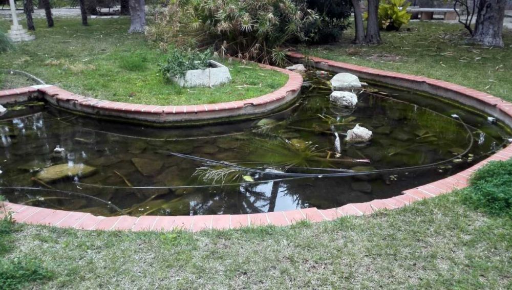 Estanque en el Hort del Gat de Elche.
