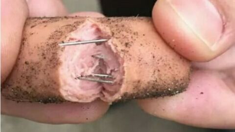 Imagen de archivo de una salchicha con alfileres en su interior.