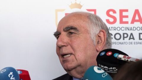 Jos&eacute; Mar&iacute;a Calz&oacute;n, delegado del Espanyol