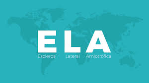 La Farmacia en Casa La Farmacia en Casa