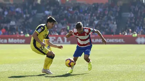 SPORTING - GRANADA SPORTING - GRANADA