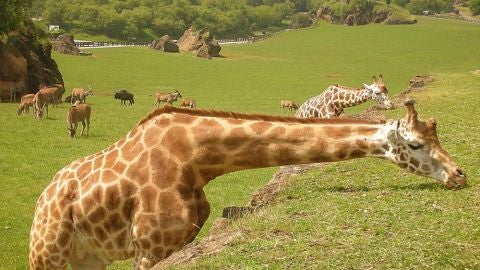 Parque de Cab&aacute;rceno