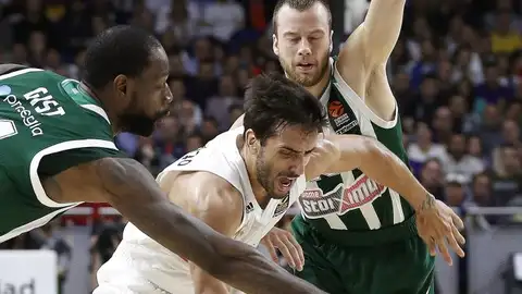 Facu Campazzo lucha un balón ante dos jugadores del Panathinaikos Facu Campazzo lucha un balón ante dos jugadores del Panathinaikos