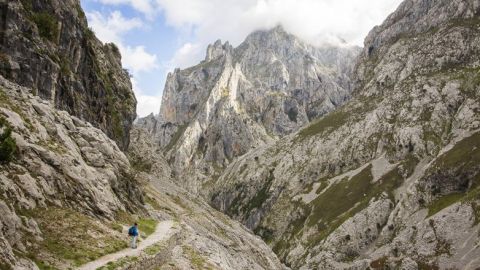 Monta&ntilde;as de Asturias