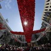 Cruz de Mayo Cruz de Mayo