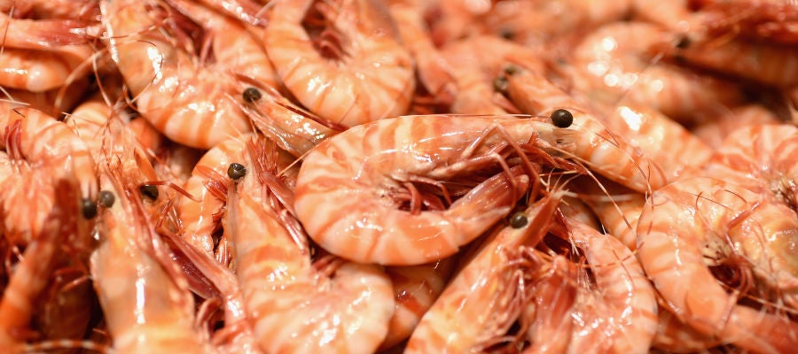 Imagen de unas gambas Imagen de unas gambas