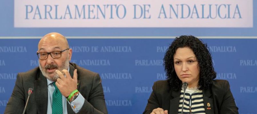 El portavoz y la portavoz adjunta de Vox, Alejandro Hernández y Belinda Rodríguez El portavoz y la portavoz adjunta de Vox, Alejandro Hernández y Belinda Rodríguez