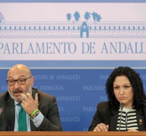 El portavoz y la portavoz adjunta de Vox, Alejandro Hernández y Belinda Rodríguez El portavoz y la portavoz adjunta de Vox, Alejandro Hernández y Belinda Rodríguez