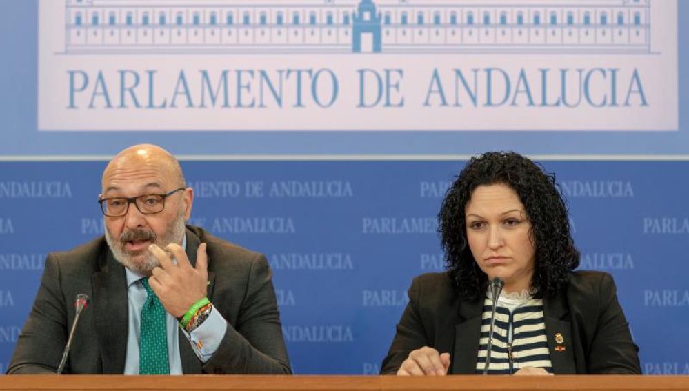 El portavoz y la portavoz adjunta de Vox, Alejandro Hernández y Belinda Rodríguez