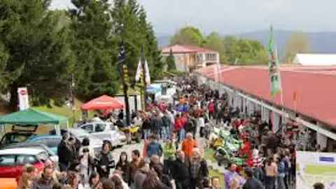 tineo tineo