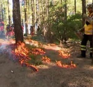 Formación para prevenir incendios forestales Formación para prevenir incendios forestales