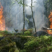 Imange de archivo de un incendio forestal. Imange de archivo de un incendio forestal.