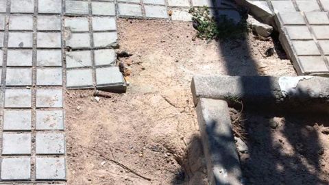 Acera rota en el barrio Los Palmerales de Elche.
