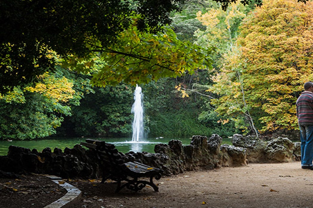 El Campo Grande cerrará por las fuertes ráfagas de viento El Campo Grande cerrará por las fuertes ráfagas de viento