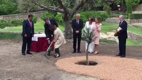 El detalle del Rey con Carmen Clavo al plantar el olivo de la Paz El detalle del Rey con Carmen Clavo al plantar el olivo de la Paz