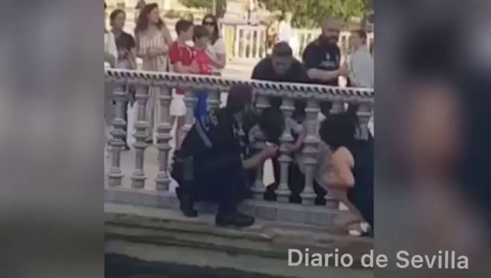 Rescatan a un niño atrapado entre unos barrotes de estanque de Plaza España de Sevilla