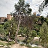 Vista de la ladera del río Vinalopó de Elche.