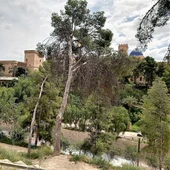 Vista de la ladera del río Vinalopó de Elche. Vista de la ladera del río Vinalopó de Elche.