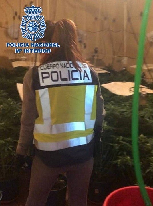 Informativo de tarde 20/05/2019 Informativo de tarde 20/05/2019