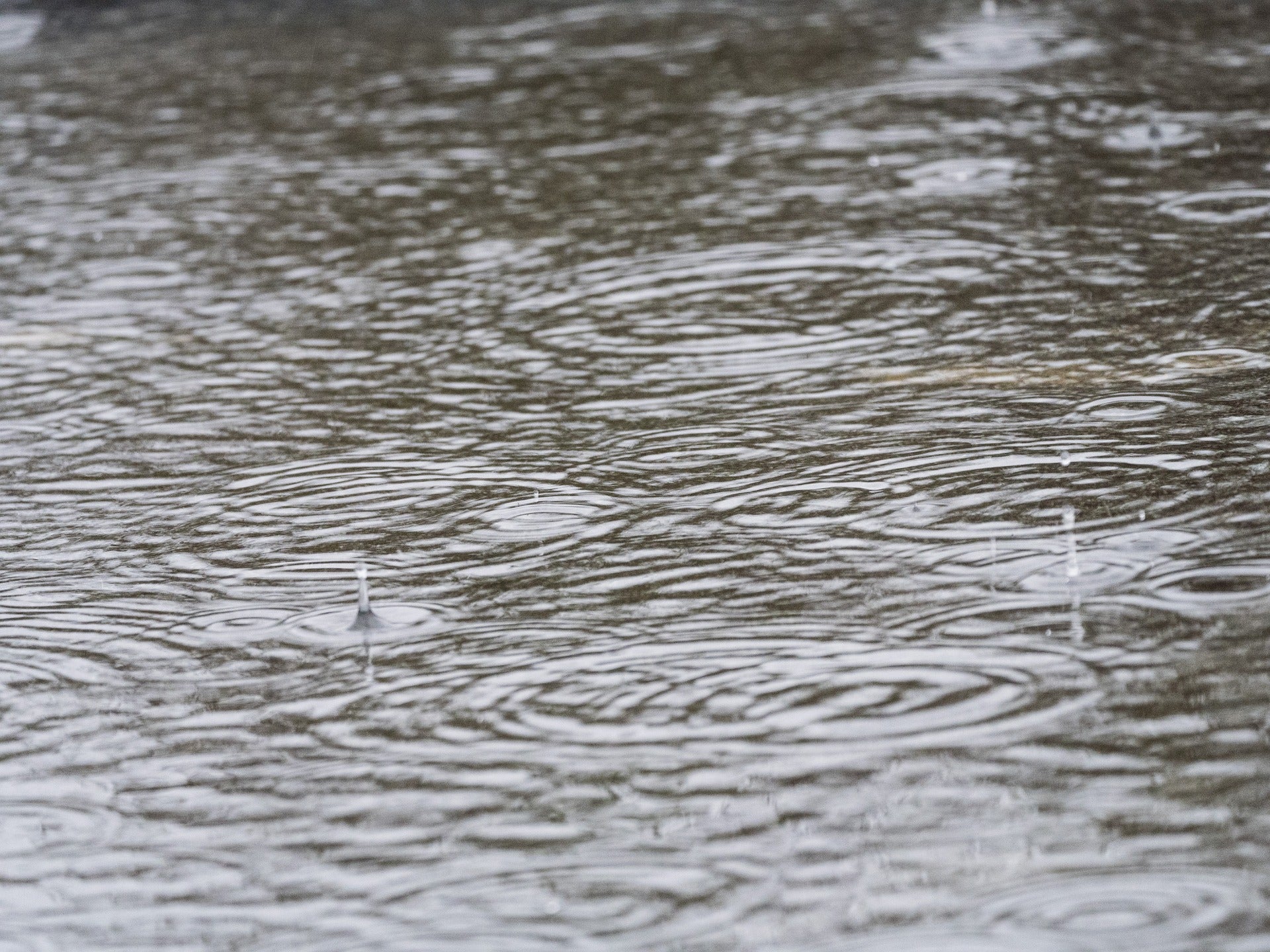Ciudad Real cerrará el año con un 16% de déficit de lluvias y 1,2º más de temperatura media Ciudad Real cerrará el año con un 16% de déficit de lluvias y 1,2º más de temperatura media