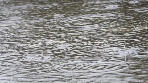 Las lluvias han dejado este año 335 litros en Ciudad Real Las lluvias han dejado este año 335 litros en Ciudad Real