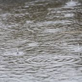 Las lluvias han dejado este año 335 litros en Ciudad Real