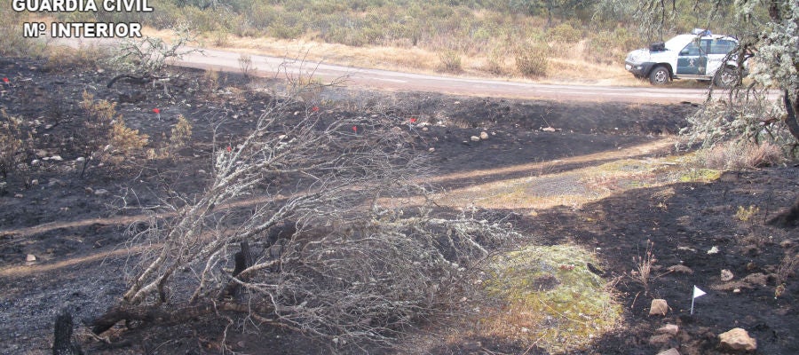Se incrementa el número de incendios forestales en lo que va de año Se incrementa el número de incendios forestales en lo que va de año