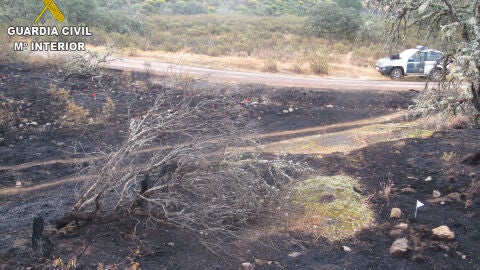 Se incrementa el n&uacute;mero de incendios forestales en lo que va de a&ntilde;o