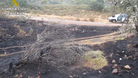 Se incrementa el número de incendios forestales en lo que va de año Se incrementa el número de incendios forestales en lo que va de año