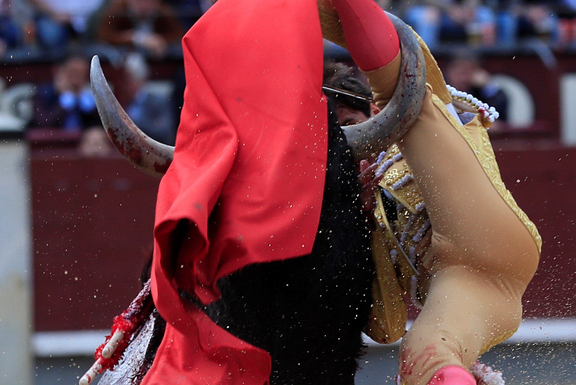 Gonzalo Caballero, herido tras entrar a matar el tercer toro en Las Ventas Gonzalo Caballero, herido tras entrar a matar el tercer toro en Las Ventas
